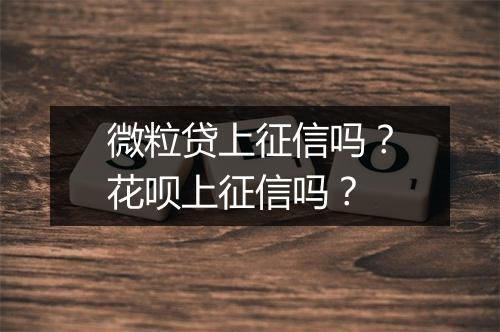 微粒贷上征信吗？花呗上征信吗？