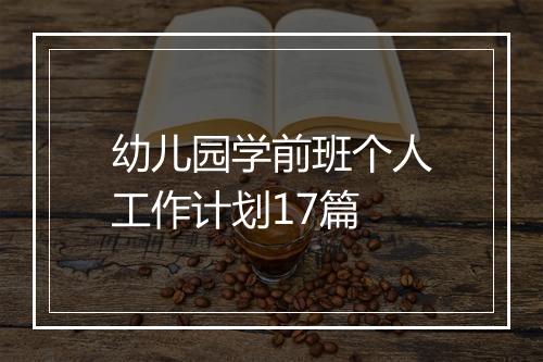 幼儿园学前班个人工作计划17篇