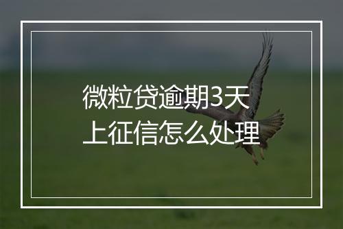 微粒贷逾期3天上征信怎么处理