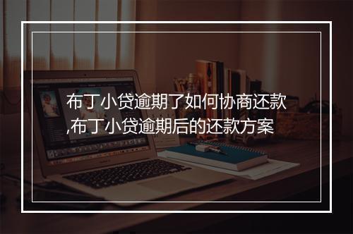 布丁小贷逾期了如何协商还款,布丁小贷逾期后的还款方案
