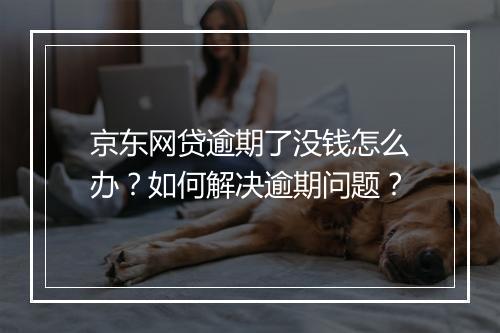 京东网贷逾期了没钱怎么办？如何解决逾期问题？
