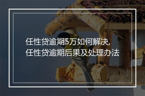 任性贷逾期5万如何解决,任性贷逾期后果及处理办法