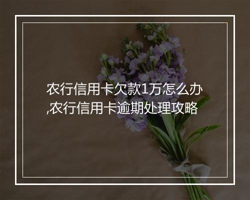 农行信用卡欠款1万怎么办,农行信用卡逾期处理攻略