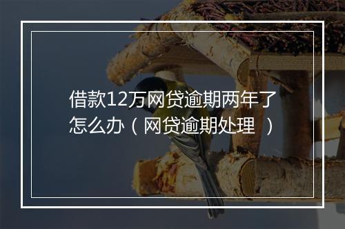 借款12万网贷逾期两年了怎么办（网贷逾期处理 ）