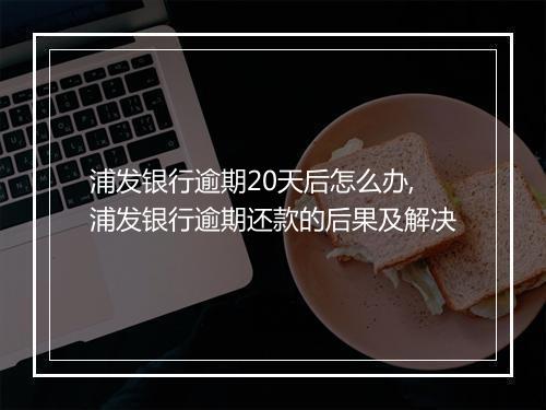 浦发银行逾期20天后怎么办,浦发银行逾期还款的后果及解决