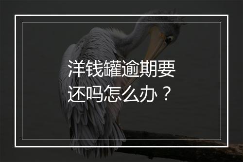 洋钱罐逾期要还吗怎么办？