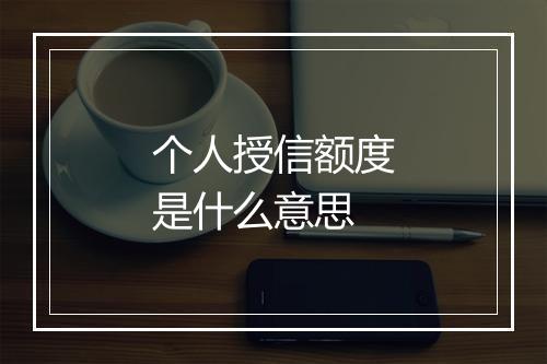 个人授信额度是什么意思