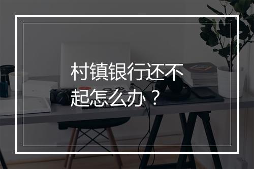 村镇银行还不起怎么办？