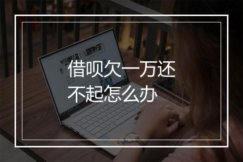 借呗欠一万还不起怎么办