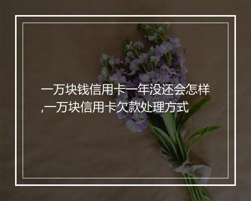 一万块钱信用卡一年没还会怎样,一万块信用卡欠款处理方式