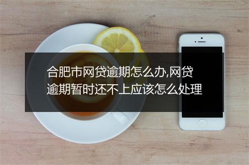 合肥市网贷逾期怎么办,网贷逾期暂时还不上应该怎么处理