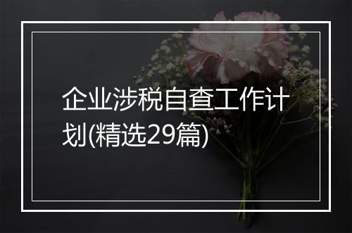 企业涉税自查工作计划(精选29篇)