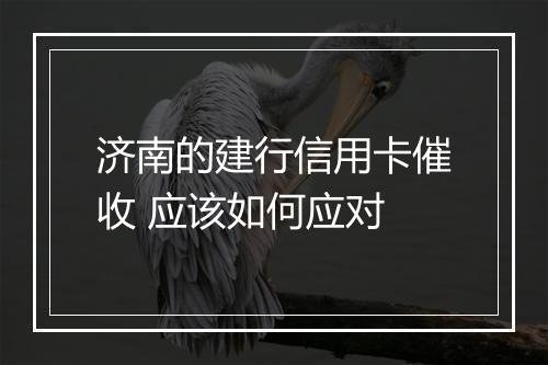 济南的建行信用卡催收 应该如何应对