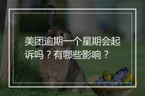 美团逾期一个星期会起诉吗？有哪些影响？