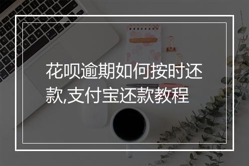 花呗逾期如何按时还款,支付宝还款教程