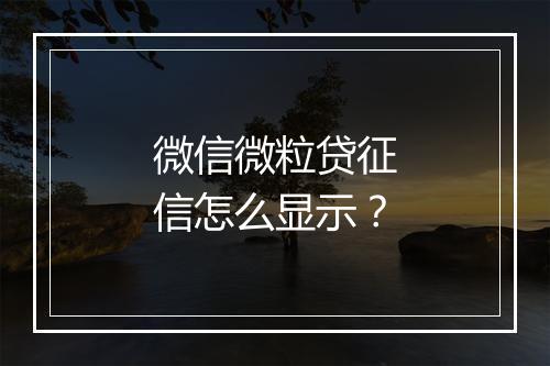 微信微粒贷征信怎么显示？
