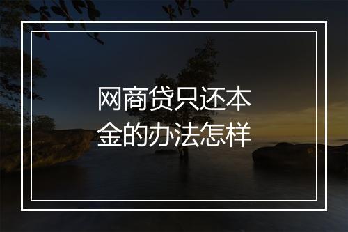 网商贷只还本金的办法怎样
