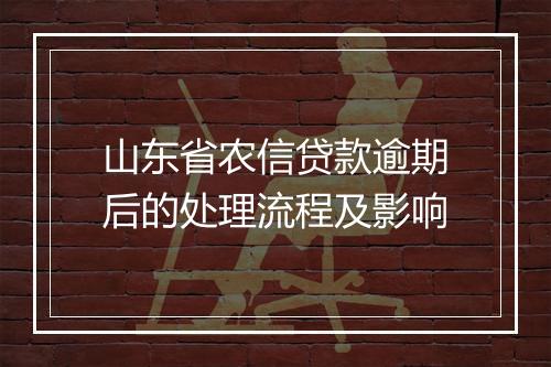 山东省农信贷款逾期后的处理流程及影响