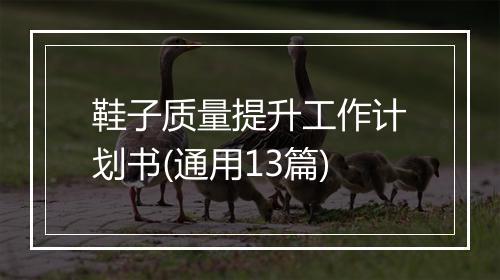 鞋子质量提升工作计划书(通用13篇)