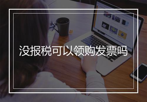 没报税可以领购发票吗