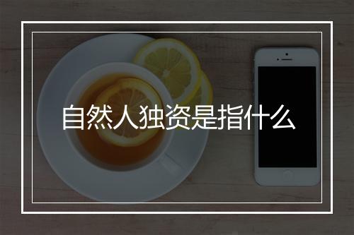 自然人独资是指什么