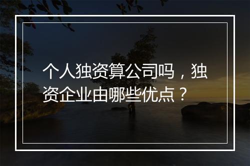 个人独资算公司吗，独资企业由哪些优点？