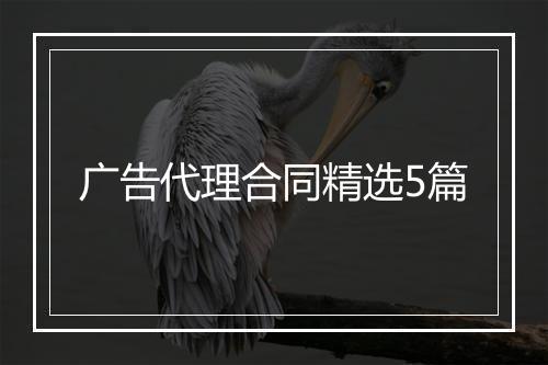 广告代理合同精选5篇