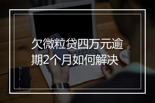 欠微粒贷四万元逾期2个月如何解决