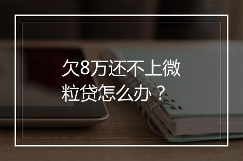 欠8万还不上微粒贷怎么办？