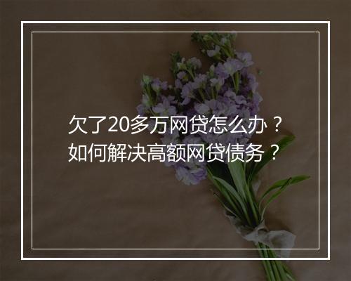 欠了20多万网贷怎么办？如何解决高额网贷债务？