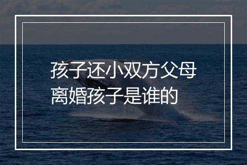 孩子还小双方父母离婚孩子是谁的