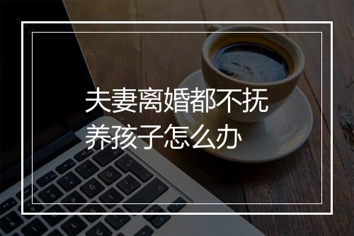 夫妻离婚都不抚养孩子怎么办