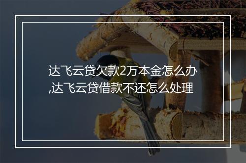 达飞云贷欠款2万本金怎么办,达飞云贷借款不还怎么处理