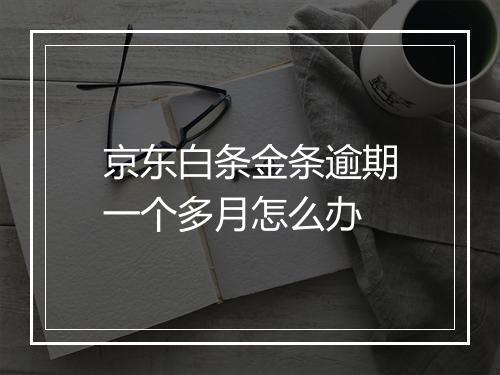 京东白条金条逾期一个多月怎么办