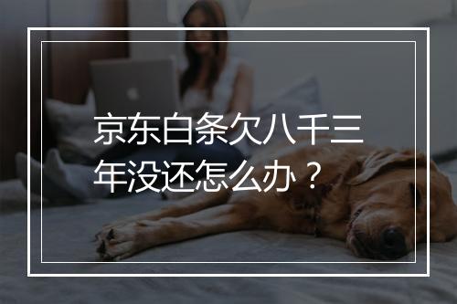 京东白条欠八千三年没还怎么办？
