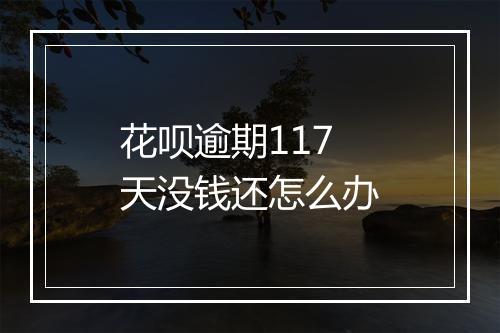 花呗逾期117天没钱还怎么办