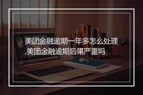 美团金融逾期一年多怎么处理,美团金融逾期后果严重吗