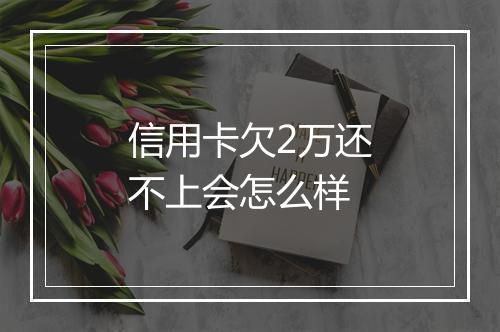 信用卡欠2万还不上会怎么样