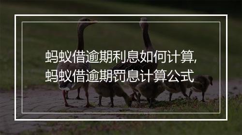 蚂蚁借逾期利息如何计算,蚂蚁借逾期罚息计算公式