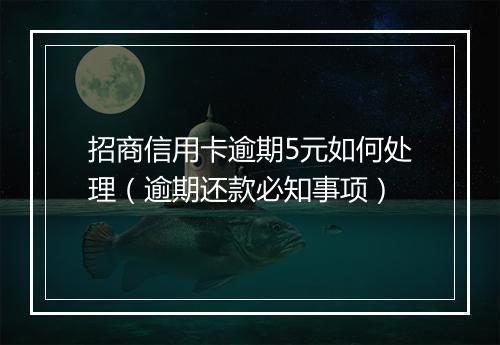 招商信用卡逾期5元如何处理（逾期还款必知事项）