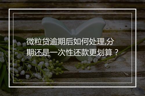 微粒贷逾期后如何处理,分期还是一次性还款更划算？