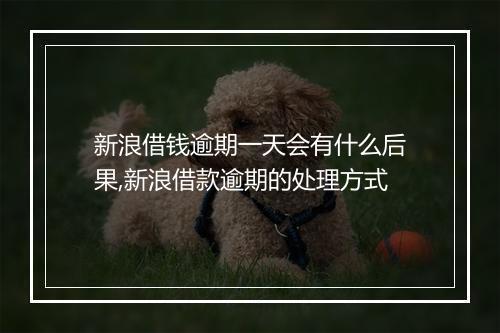 新浪借钱逾期一天会有什么后果,新浪借款逾期的处理方式