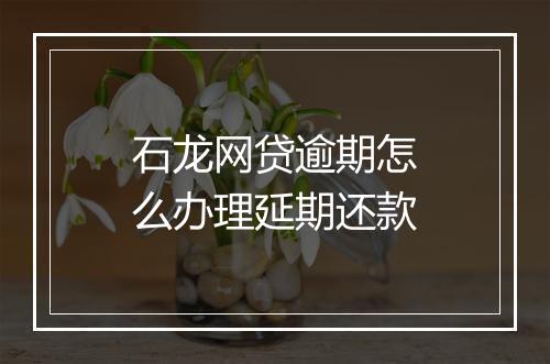 石龙网贷逾期怎么办理延期还款