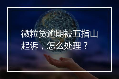 微粒贷逾期被五指山起诉，怎么处理？