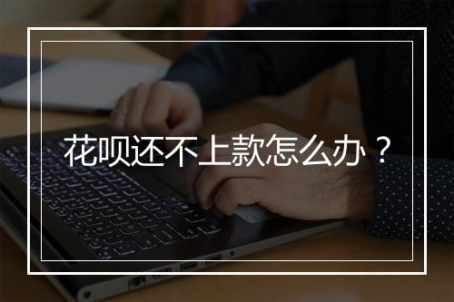 花呗还不上款怎么办？