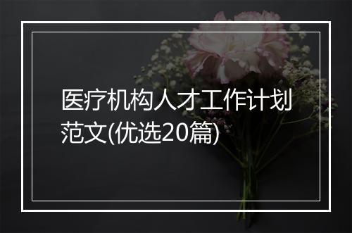 医疗机构人才工作计划范文(优选20篇)