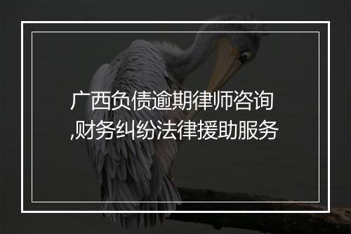 广西负债逾期律师咨询 ,财务纠纷法律援助服务