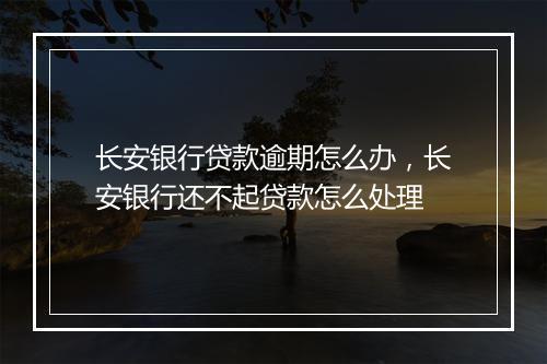 长安银行贷款逾期怎么办，长安银行还不起贷款怎么处理