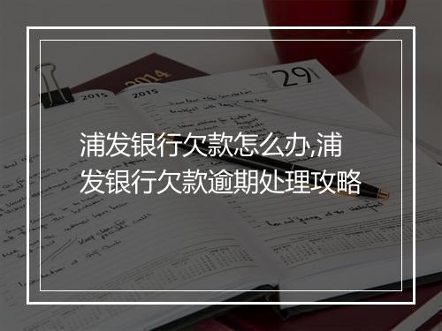 浦发银行欠款怎么办,浦发银行欠款逾期处理攻略