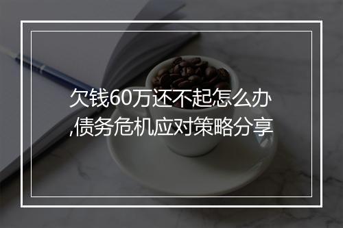 欠钱60万还不起怎么办,债务危机应对策略分享